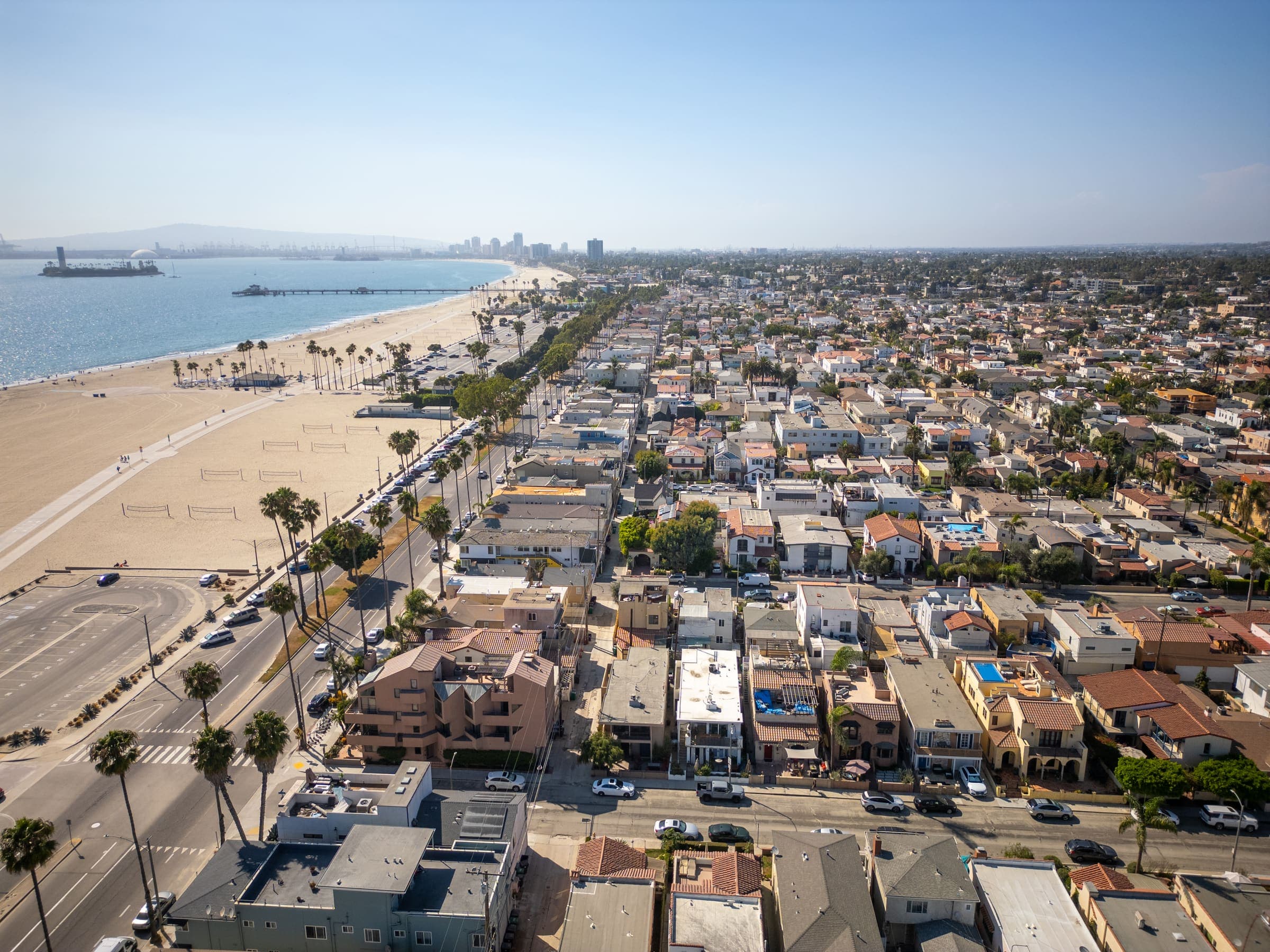 Guest Curation & Hosting chapter backdrop